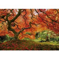 Пазл 1500 деталей Осень в японском саду, Educe