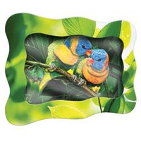 Объемная картинка "Радужные попугайчики", Vizzle