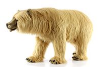 Мягкая игрушка Сирийский медведь, 110 см, Hansa