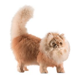 Мягкая игрушка персидский кот Табби рыже-белый, 45 см, Hansa