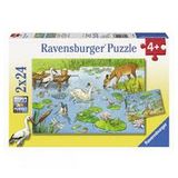 Пазлы 5-100 деталей Ravensburger