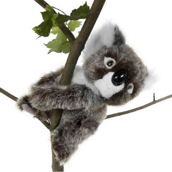 Мягкая игрушка Коала на ветке 21см, HANSA