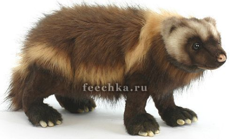 Росомаха, Hansa