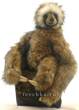 Ленивец, Hansa
