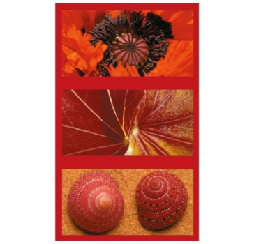Пазл Природный дизайн в красном, Ravensburger