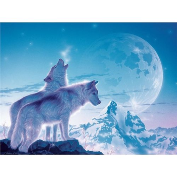   , Ravensburger