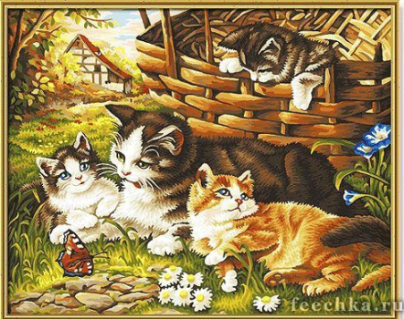 Раскраска Семейство кошачих, Schipper