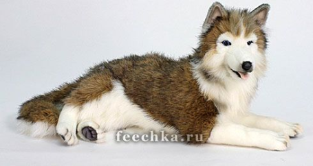 Мягкая игрушка Хаски, Hansa