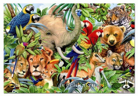 Животный мир пазл 500 эл., Ravensburger