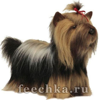 Йоркширский бергер 44 см. HANSA
