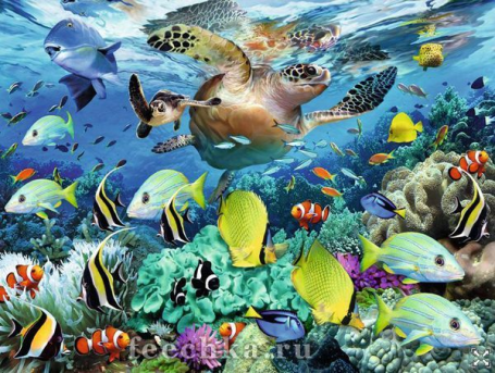 Пазл Подводный рай, Ravensburger