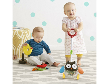 Игровая каталка с ручкой Сова, Skip Hop