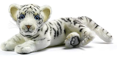 Белый тигрёнок лежащий