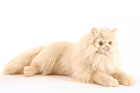 Мягкая игрушка персидский кот Табби рыже-белый, 70 см, Hansa