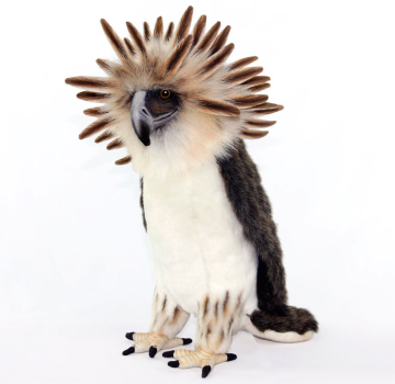 Мягкая игрушка Филиппинский орел, 30 см, Hansa