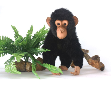 Мягкая игрушка Шимпанзе, 30 см, Hansa